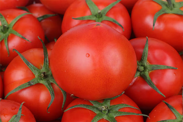 色差仪检测番茄果实的颜色
