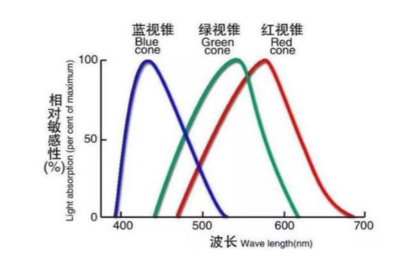 锥状细胞的光谱灵敏度曲线