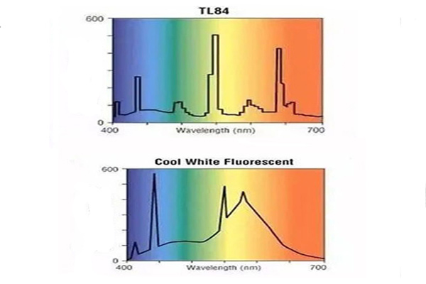 TL84光源和CWF光源光谱功率分布01